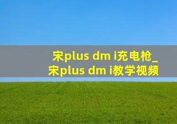 宋plus dm i充电枪_宋plus dm i教学视频